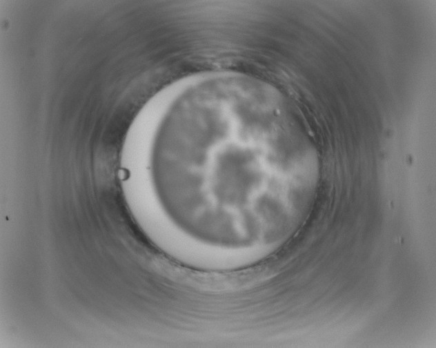 X0000062910030200602031908