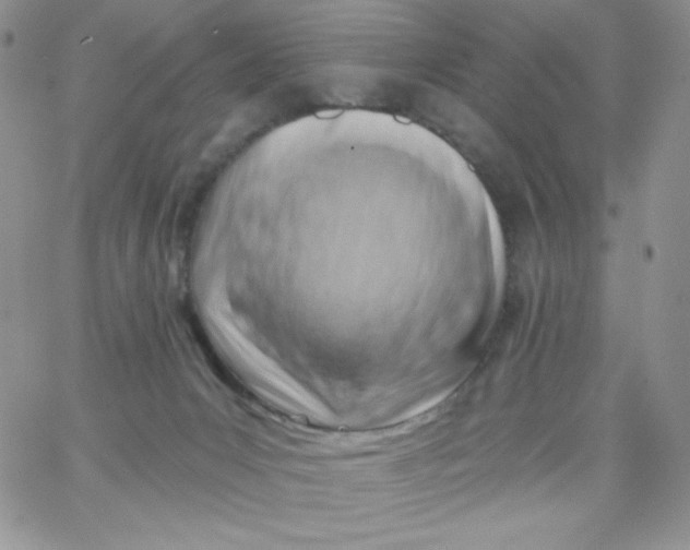 X0000062910031200602031908