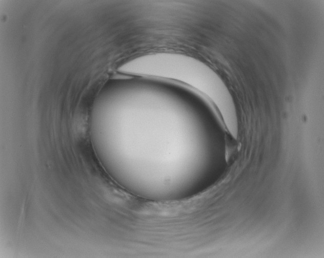 X0000062910033200602031908