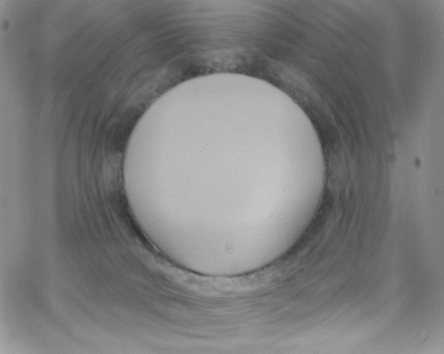 X0000062910034200602031908