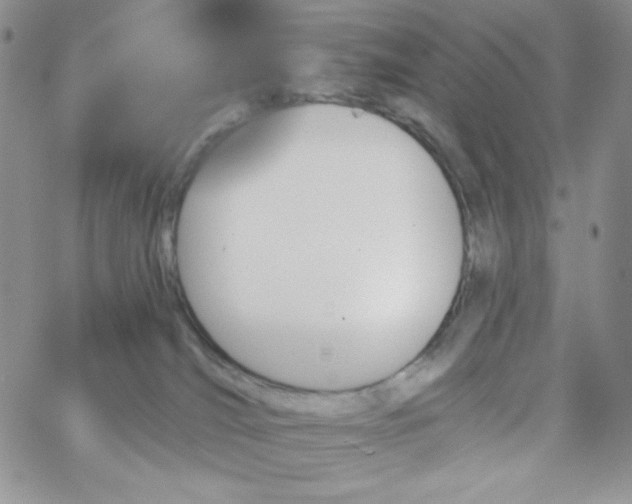 X0000062910036200602031908