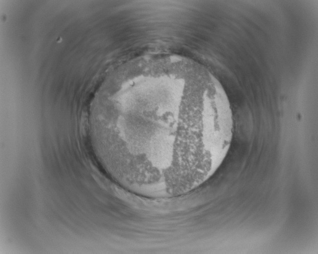 X0000062910038200602031908