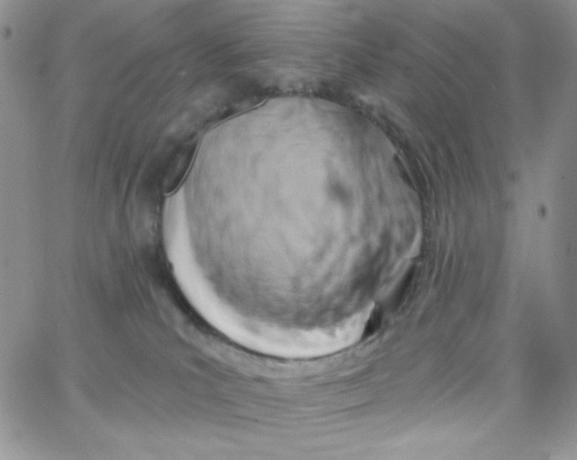 X0000062910039200602031908