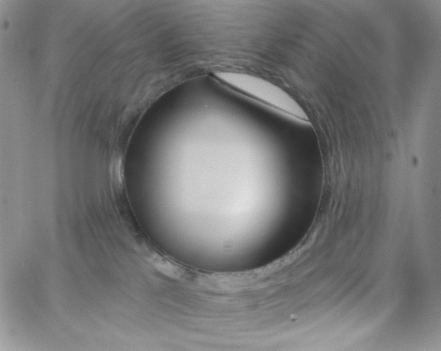 X0000062910041200602031908