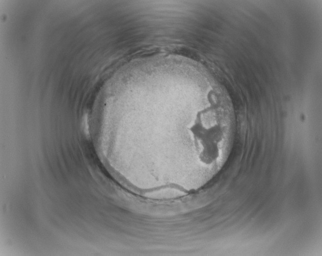 X0000062910042200602031908