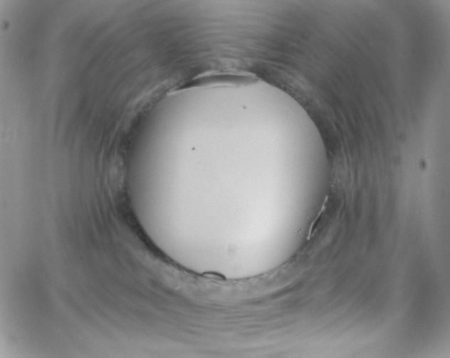 X0000062910043200602031908