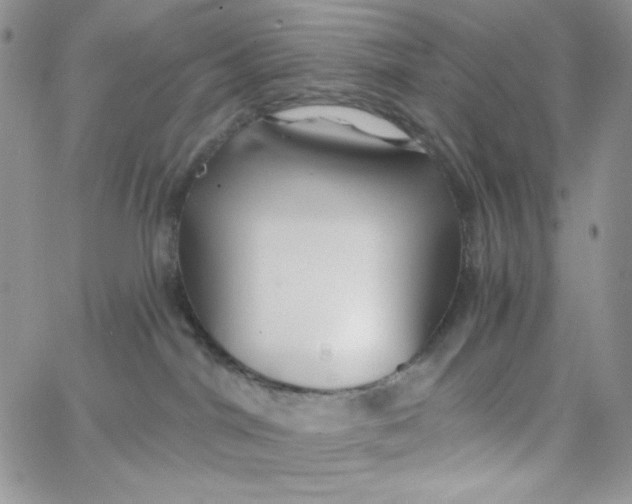 X0000062910044200602031908