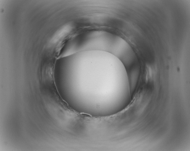 X0000062910045200602031908