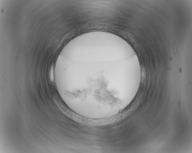 X0000062910046200602031908