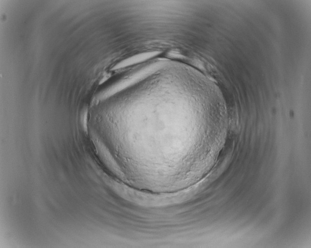 X0000062910047200602031908