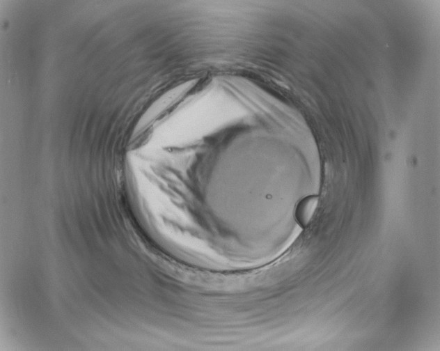 X0000062910048200602031908