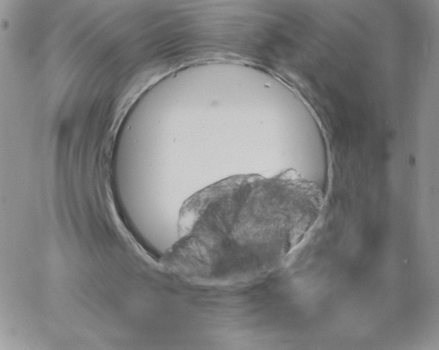 X0000062910049200602031907