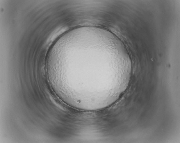 X0000062910050200602031907