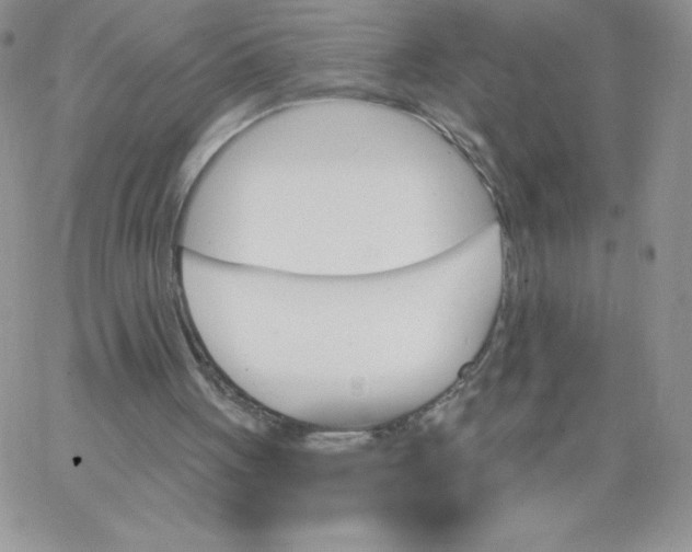 X0000062910051200602031907