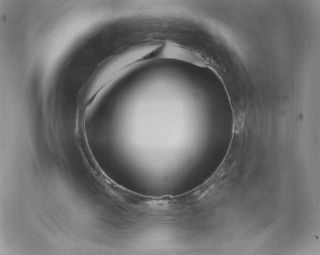 X0000062910052200602031907