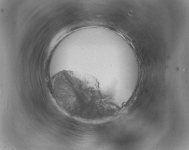 X0000062910053200602031907