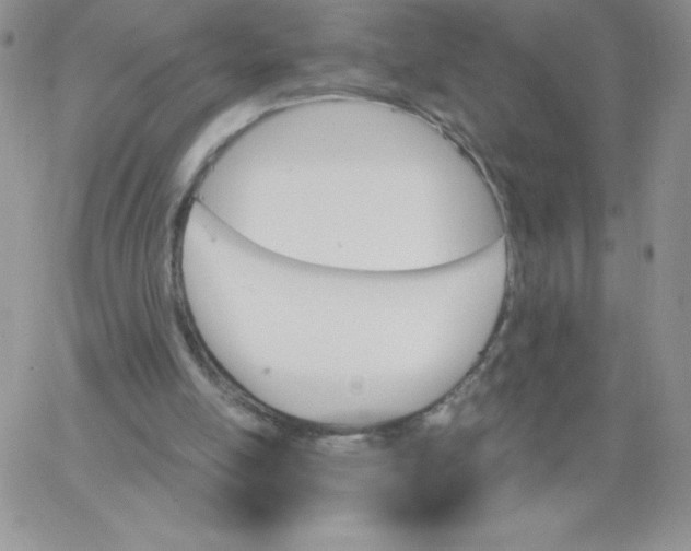 X0000062910054200602031907