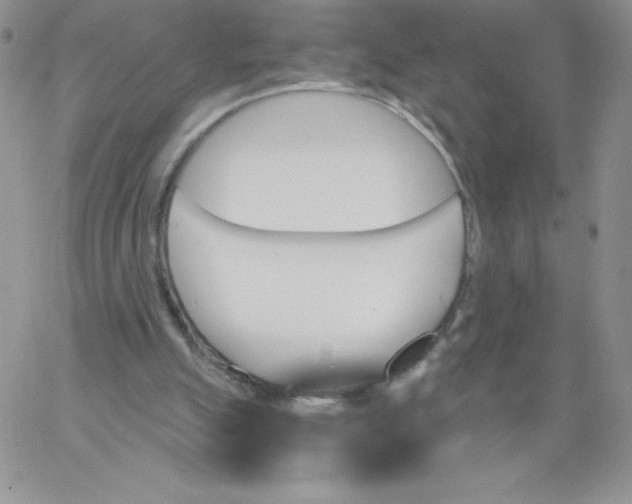 X0000062910055200602031907