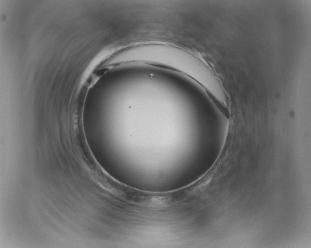 X0000062910056200602031907