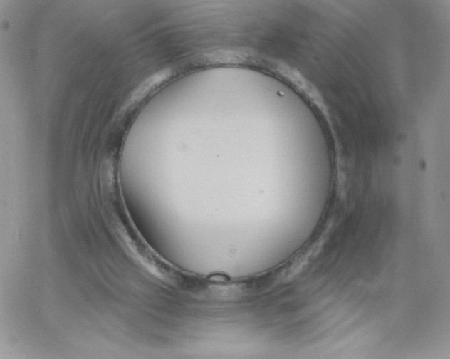 X0000062910057200602031907