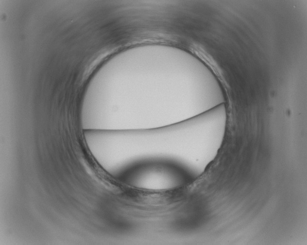 X0000062910058200602031907