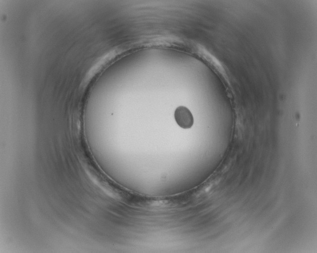 X0000062910059200602031907