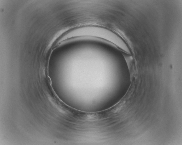 X0000062910060200602031907