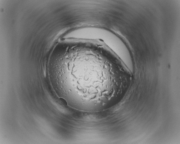 X0000062910062200602031907