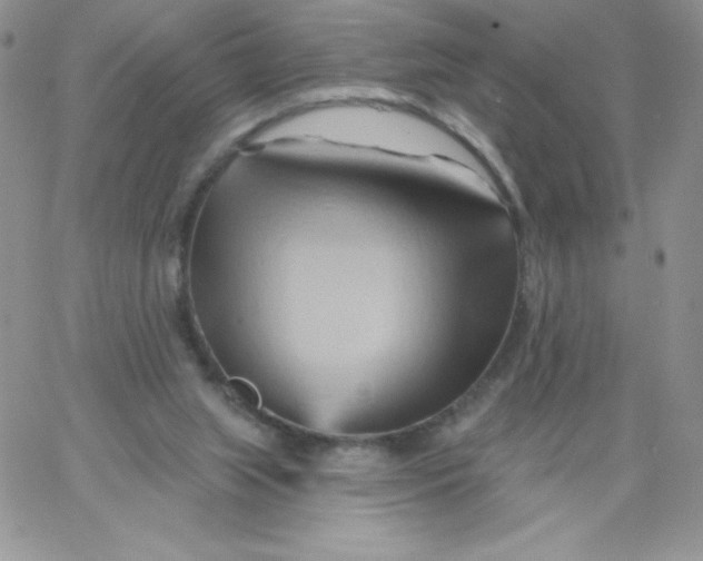 X0000062910063200602031907