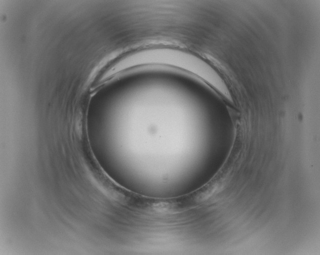 X0000062910064200602031907