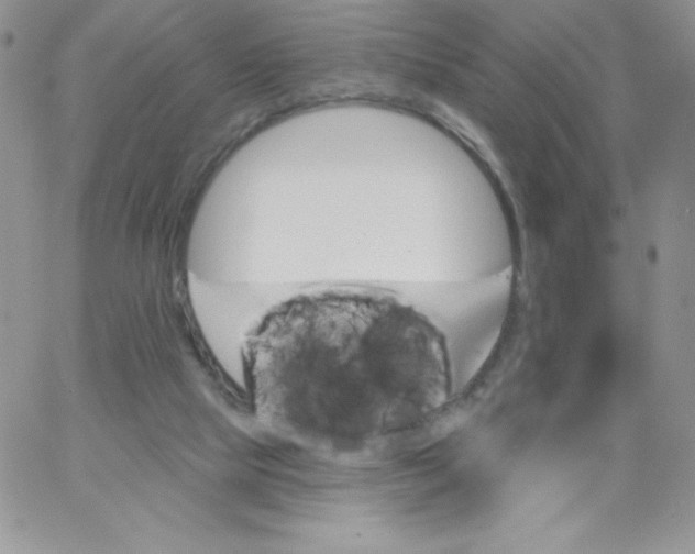 X0000062910065200602031907