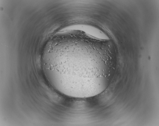 X0000062910066200602031907