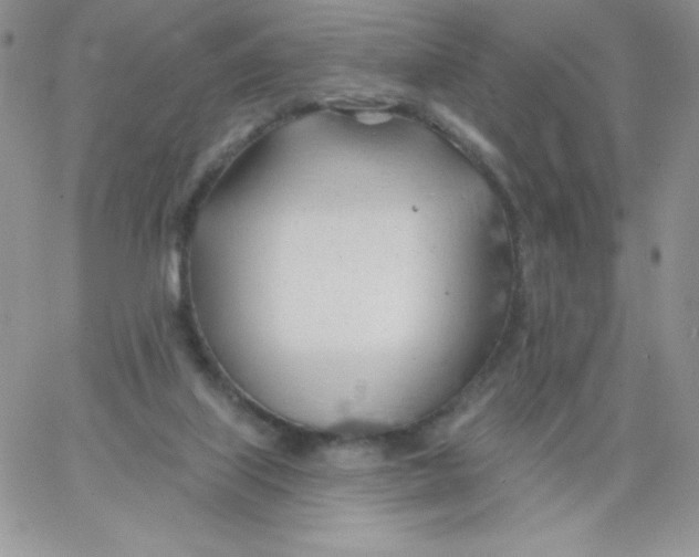 X0000062910067200602031907