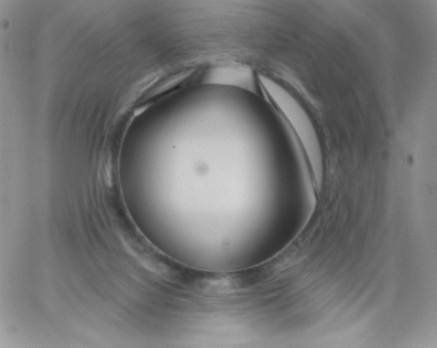 X0000062910068200602031907