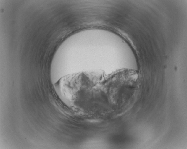 X0000062910069200602031907