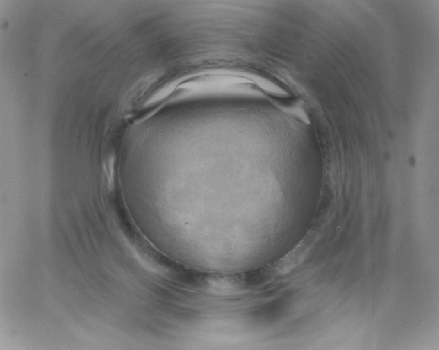 X0000062910070200602031907