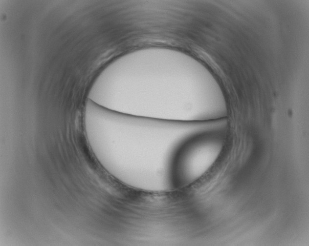 X0000062910071200602031907