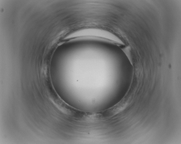 X0000062910072200602031907