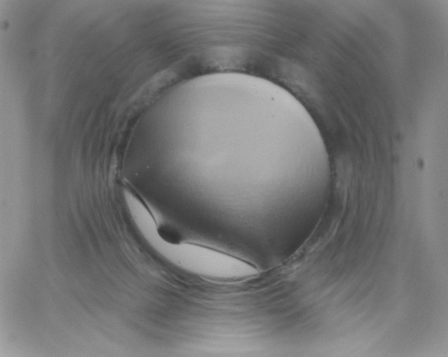 X0000062910073200602031907