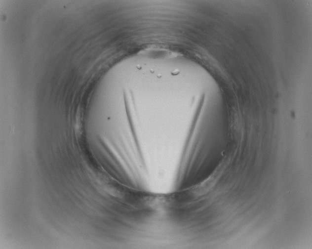 X0000062910074200602031907