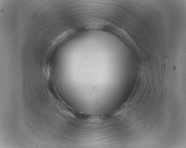 X0000062910076200602031907