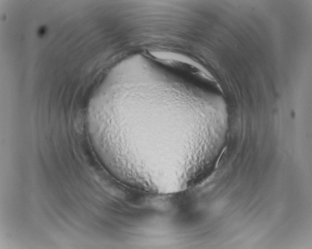 X0000062910078200602031907