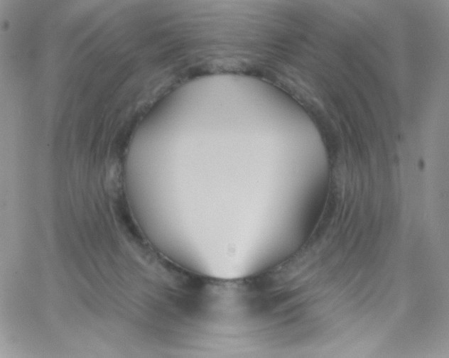 X0000062910079200602031907