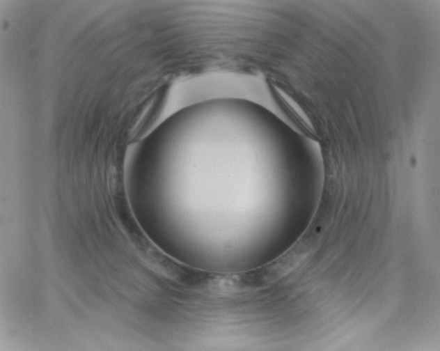 X0000062910080200602031907