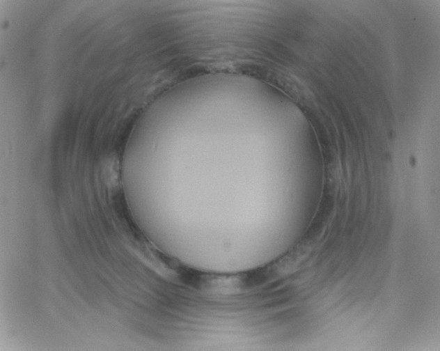 X0000062910081200602031907