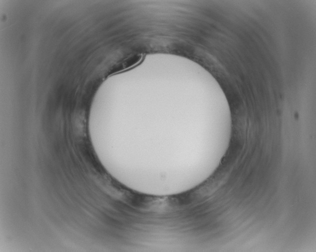 X0000062910083200602031907