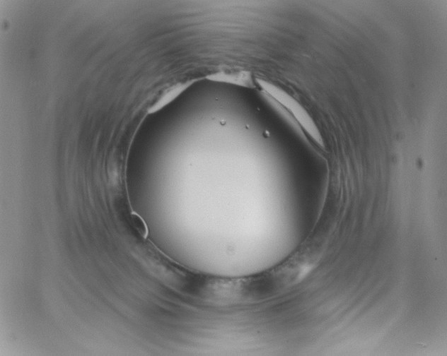 X0000062910084200602031907