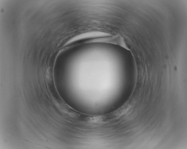 X0000062910088200602031908