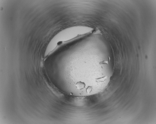 X0000062910090200602031908