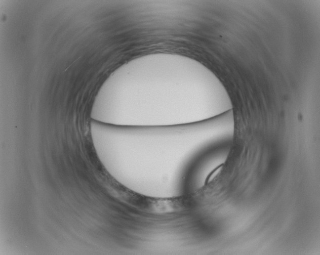 X0000062910091200602031908